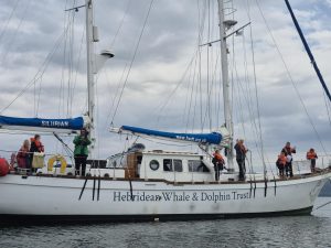 Hebridean Whale and Dolphin Boat