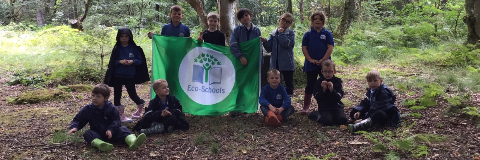 Children holding an Eco-schools flag